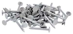 NAIL ROOFING EG 2IN 1LB